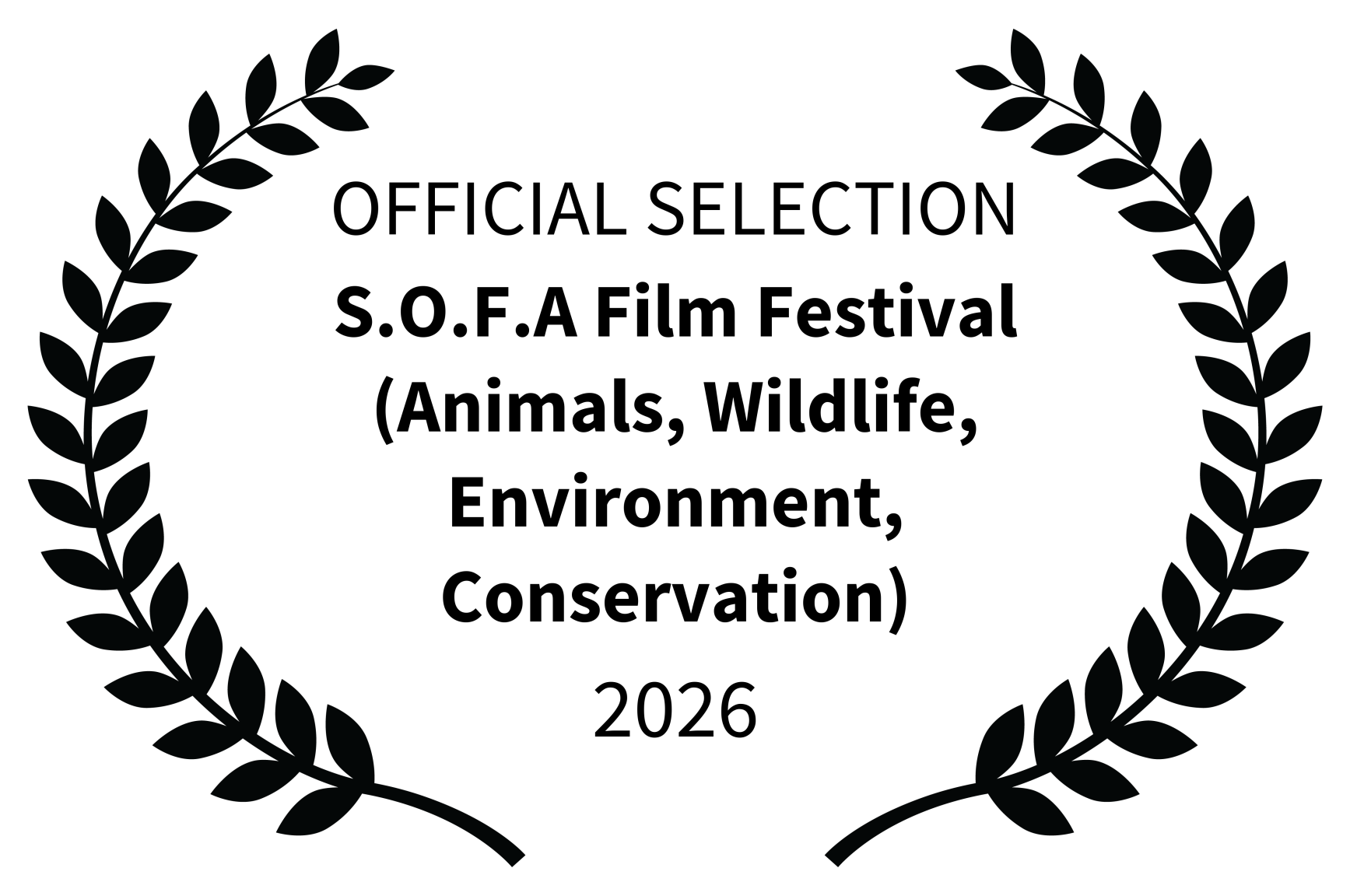 Official Selection, S.O.F.A Film Festival 2026